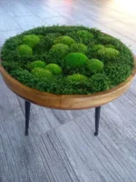 Machový stolík zelený – Obrázok 8