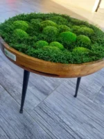 Machový stolík zelený – Obrázok 5