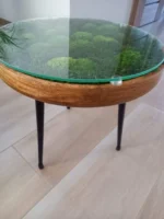 Machový stolík zelený – Obrázok 6