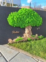 Elegantné machové stromy na čiernom podklade – Obrázok 6