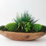 Machová miska Kanoe