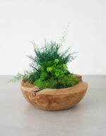 Machová miska Okrúhla – Obrázok 3