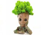 Machový MOSS BOSS