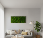 Machový obraz – Kopčekový