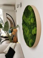 Machový obraz – Kopčekový a plochý mach – Obrázok 4