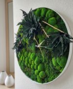 Flóra okrúhly – Obrázok 2