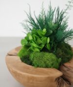 Machová miska Okrúhla – Obrázok 2