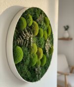 Machový obraz – Kopčekový a plochý mach – Obrázok 2