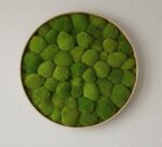 Machový obraz – Kopčekový – Obrázok 2