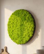 Machový obraz – Lišajník – Obrázok 2