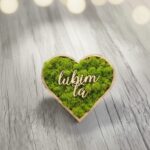 Machové srdiečko - prírodné so zeleným machom